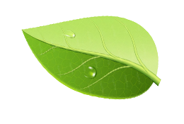 bio